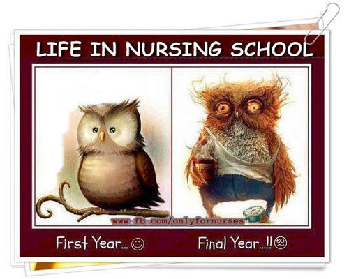 life-in-nursing